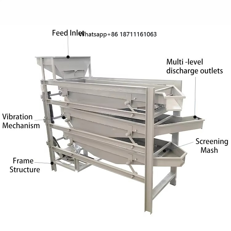 Dried Fruit - Máquina de Classificação Vibratória para Frutas