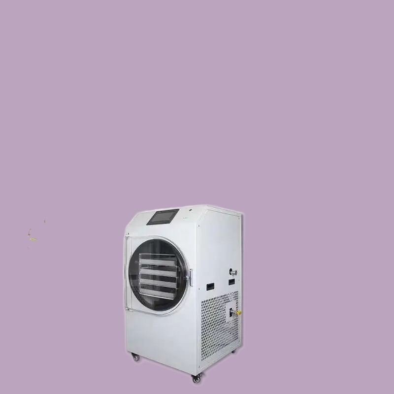 Dried Fruit - Venda quente 6kg 8kg frutas que