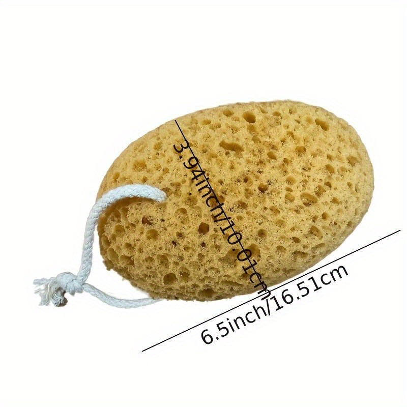 Bolha de banho de esponja de a - Seaweed Snack avaliação e preço