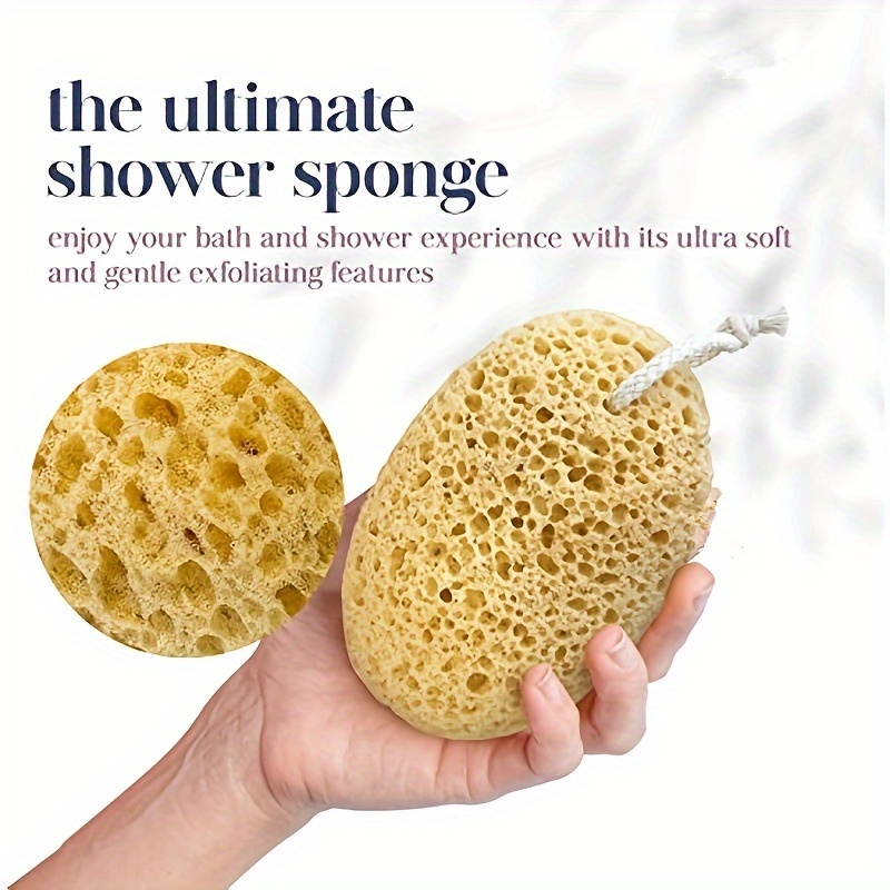 Bolha de banho de esponja de a - Seaweed Snack avaliação e preço